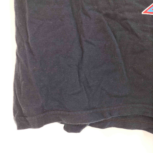 フルーツオブザルーム FRUIT OF THE LOOM アーティストプリントクルーネックTシャツ メンズ import:M