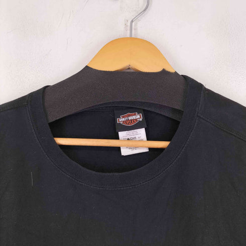 ハーレーダビッドソン HARLEY-DAVIDSON バックプリント L/S Tシャツ メンズ 3XL