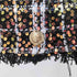 Walter Baker Alessia Jacket Broadway Tweed Black レディース import:M