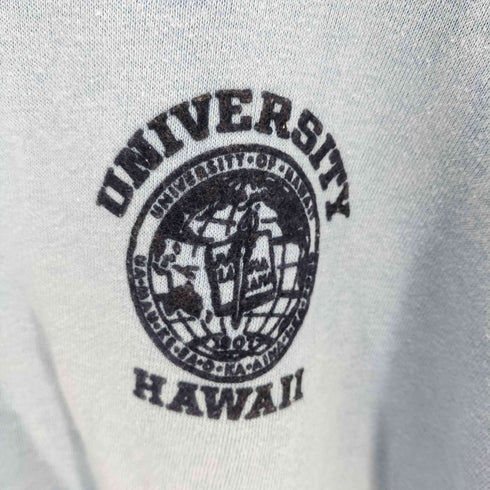 アーテックス ARTEX USA製 UNIVERSITY HAWAII ラグランスウェット メンズ import:L