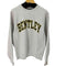 チャンピオン Champion REVERSE WEAVE カレッジプリントスウェットプルオーバー メンズ JPN:M