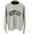 チャンピオン Champion REVERSE WEAVE カレッジプリントスウェットプルオーバー メンズ JPN:M