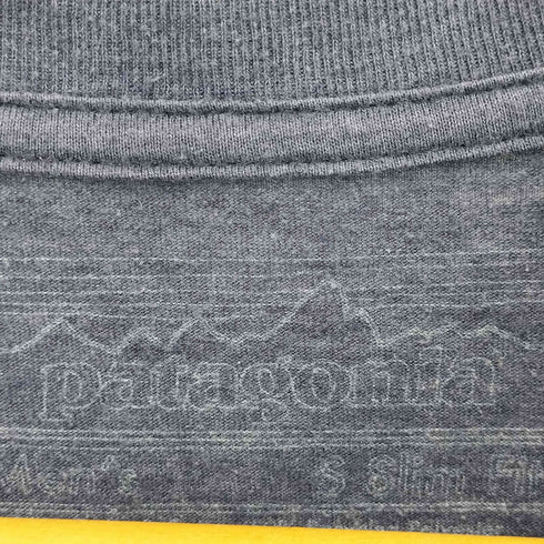 パタゴニア patagonia フロントプリント S/S TEE メンズ import:S