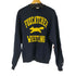 チャンピオン Champion フロントプリントクルーネックスウェット ECO AUTHENTIC メンズ JPN:M