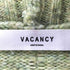 ヴァカンシー VACANCY ハイネックスリットニット レディース FREE
