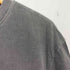 トミージーンズ tommy jeans TIMELESS BOX T-SHIRT ピグメントダイ Tシャツ メンズ import:S