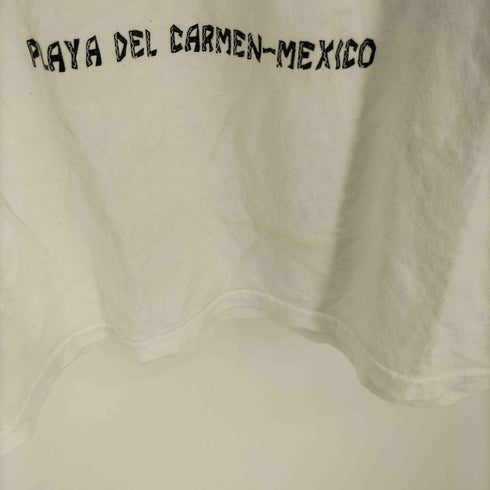 CANCUN REEF COZUMEL LOS POLLOS HERMANOS ニワトリ プリント クルーネック Tシャツ メンズ import:M