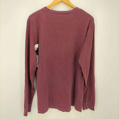 ステューシー Stussy クルーネックロゴL/S TEE メンズ M