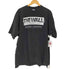 ヘインズ Hanes USA製 the wall Berlin Wall T-Shirts メンズ import:XXL