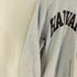 チャンピオン Champion USA製 刺繍タグ REVERSE WEAVE HARVARD 染み込みプリント プルオーバーパーカー メンズ import:XXL