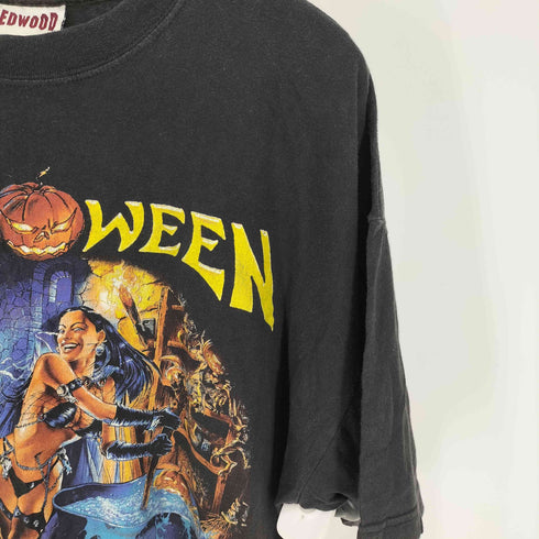 90S REDWOOD ボディ WORLD TOUR パワーメタル バンド 両面プリント S/S Tシャツ コピーライト1998 メンズ import:XL