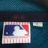 エムエルビー MLB フロント刺繍 フリースジャケット メンズ import:L