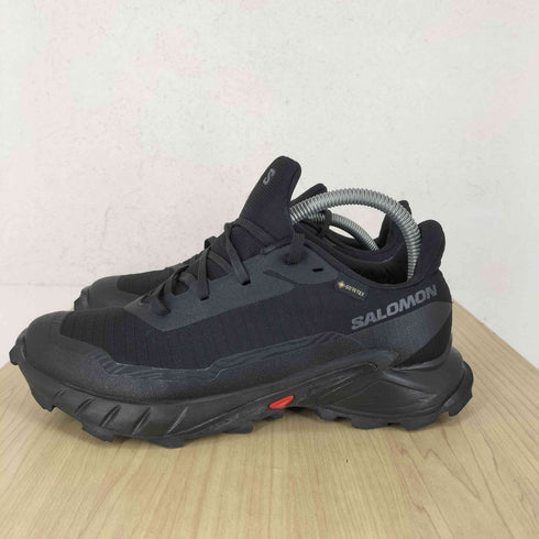 サロモン SALOMON GORE-TEX ALPHACROSS 5 レディース JPN:24