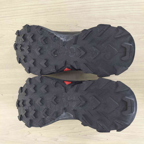 サロモン SALOMON GORE-TEX ALPHACROSS 5 レディース JPN:24
