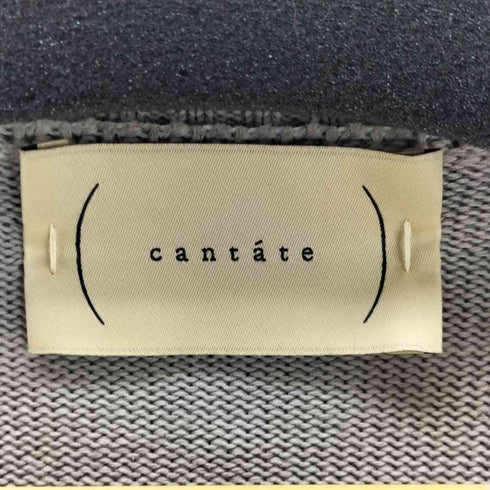 cantate 別注 First Pick Suvin Gold Tie-Dye Horizontal Stripes Knit メンズ