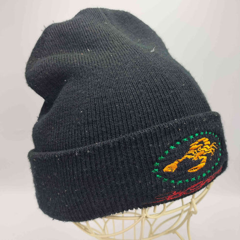 ABSOLUTELY FUCKING BITCH AFB Scorpion Beanie スコーピオン ニット ビーニー メンズ