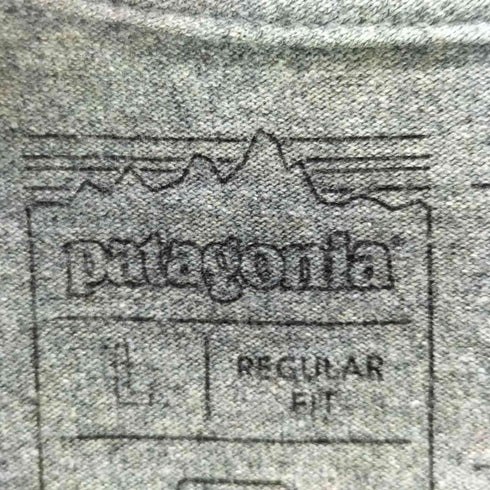 パタゴニア patagonia ロゴTシャツ メンズ