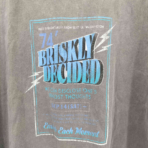 ジャバ JaVa ピグメント加工グラフィックTシャツ レディース JPN:L