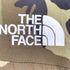 ザノースフェイス THE NORTH FACE Novelty Swallowtail Vent Hoodie メンズ JPN:XL