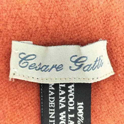Cesare Gatti イタリア製 ウール フリンジ マフラー レディース