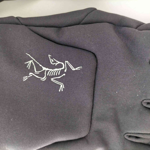 アークテリクス ARCTERYX ベンタ グローブ メンズ