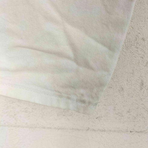 ディッキーズ Dickies SHERWIN WILLIAMS ペインターパンツ メンズ 36X30