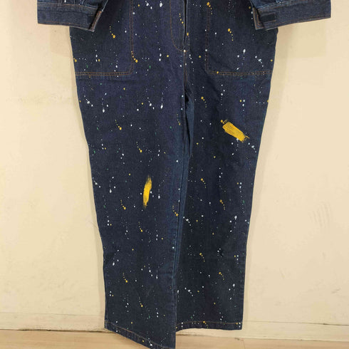 Painting Denim インディゴ ペイントデニムオーバーオール メンズ 3L