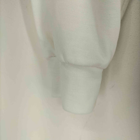 ザノースフェイス THE NORTH FACE ロングスリーブTNFバグフリーティー メンズ JPN:M