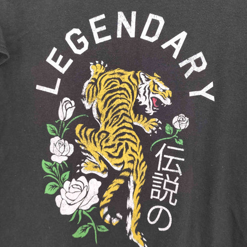 LEGENDARY 漢字 薔薇 伝説の虎 プリントTシャツ メンズ import:M