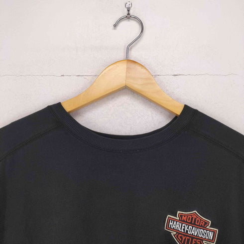 ハーレーダビッドソン HARLEY-DAVIDSON 両面刺繍プリントデザインL/S TEE メンズ JPN:L