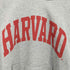 ジーユー GU ヘビーウェイトスウェットパーカ Harvard university メンズ JPN:XL
