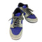 ナイキスケートボーディング NIKE SB Dunk Low ACG Celadon メンズ JPN:30