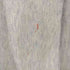 チャンピオン Champion USA製 トリコタグ REVERSE WEAVE 目あり スウェット メンズ import:S