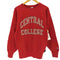 チャンピオン Champion 90s USA製 刺繍タグ CENTRAI COLLEGE リバースウィーブ メンズ JPN:L