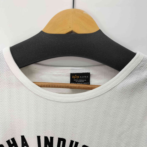 アルファインダストリーズ ALPHA INDUSTRIES ヘリンボーンバックプリントTシャツ メンズ JPN:M