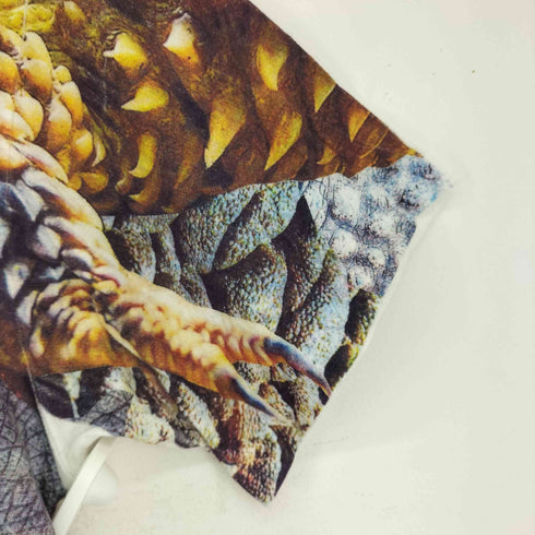 ノゾミイシグロ NOZOMI ISHIGURO グラフィックTシャツ レディース ONE SIZE