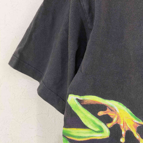 ヘインズ Hanes USA製 シングルステッチ カエルプリント クルーネックTシャツ 爬虫類 メンズ import:M