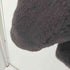 リエンダ rienda Faux FurショールカラーCT レディース FREE