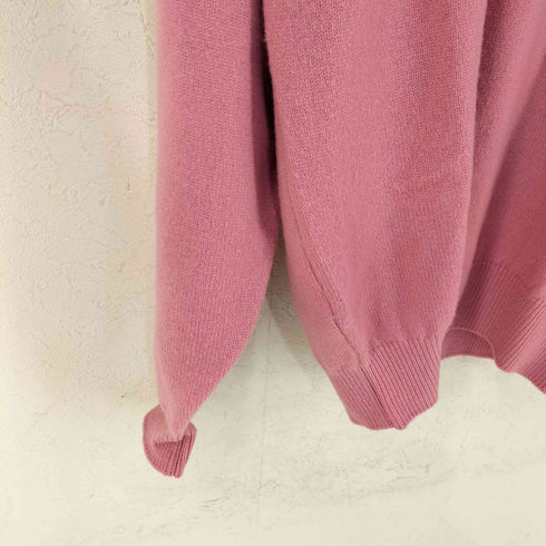 シュミーズラコステ CHEMISE LACOSTE ワニワッペン Vネックニット メンズ JPN:3