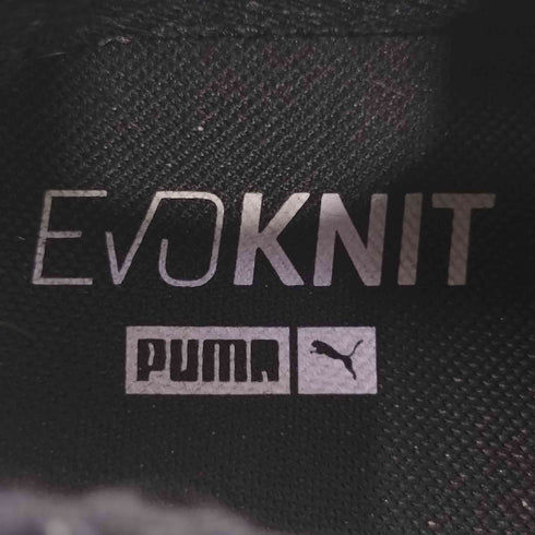 プーマ PUMA TSUGI BLAZE EVOKNIT ツギ ブレイズ エヴォニット メンズ JPN:28.5
