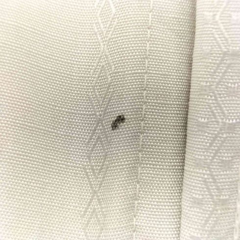 パンハンドルスリム Panhandle Slim 70S USA製 デザイン刺繍 ウエスタンシャツ メンズ 15 1/2-36