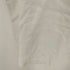 サンタクルズ SANTA CRUZ プリント クルーネックTシャツ メンズ JPN:XL