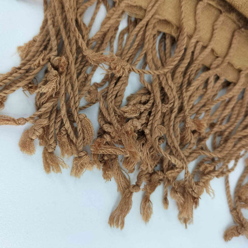 パシュミナ PASHMINA シルク混 ペイズリーストール レディース