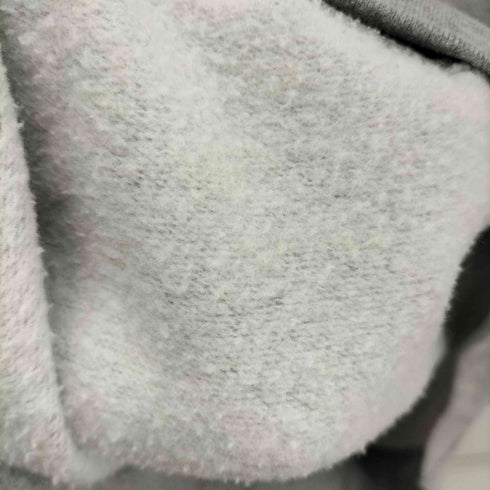 チャンピオン Champion ECO AUTHENTIC プリント プルオーバー L/S パーカー メンズ import:XL