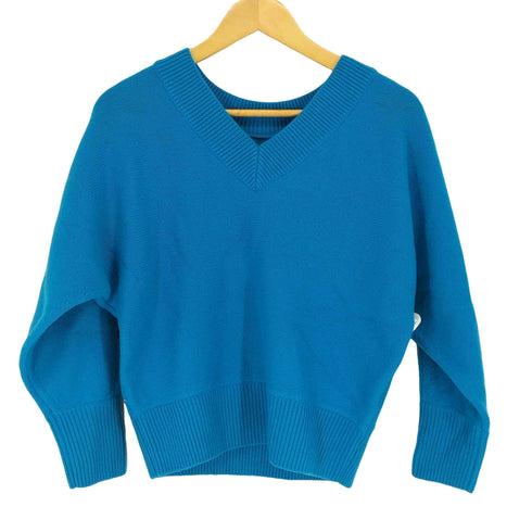 プラステ PLST 22AW エクストラファインメリノミドルゲージウールVネックニット レディース JPN:S