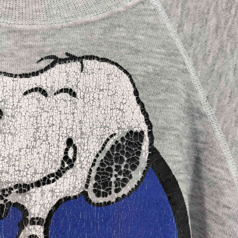 ヘインズ Hanes USA製 キャラクタープリント ラグランスウェット メンズ import:L