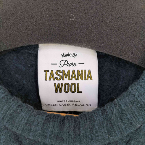 ユナイテッドアローズグリーンレーベルリラクシング UNITED ARROWS green label relaxing TASMANI WOOL ケーブル クルーネックニット メンズ