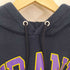 チャンピオン Champion FRANK PREMIUM REVERSE WEAVE カレッジロゴ プルオーバーパーカー メンズ JPN:S