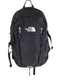 ザノースフェイス THE NORTH FACE Big Shotビッグショット バックパック メンズ FREE