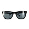 レイバン Ray-Ban RB4391D カラーサングラス メンズ 65□18